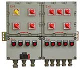 粉塵防爆配電箱（IIB級(jí) 8回路帶總開(kāi)關(guān)）
